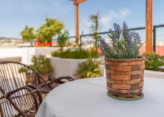Apartment Panoramic View Roof Garden